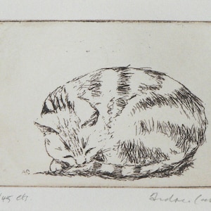 Originalradierung von schlafender Katze - Zzzz