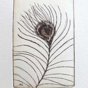original etching of a peacock feather image 2
