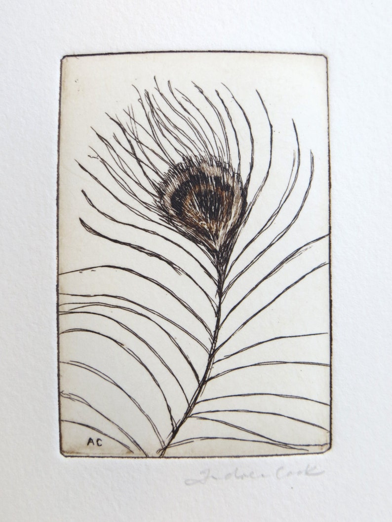 original etching of a peacock feather image 2