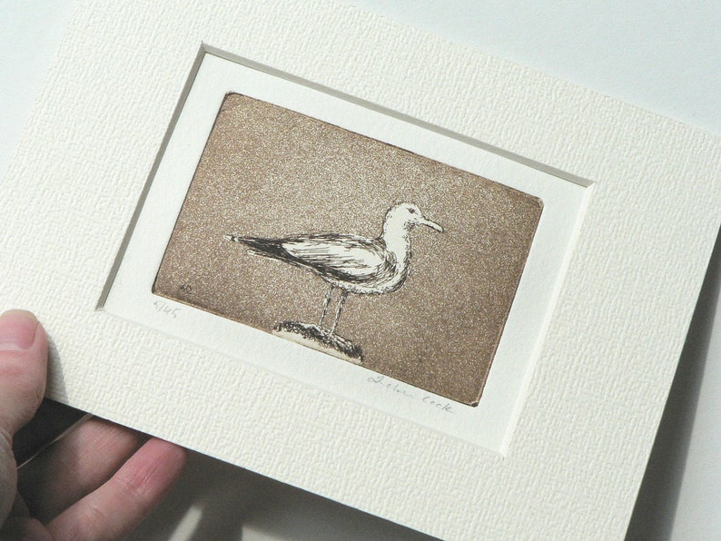 original etching and aquatint of a seagull image 3