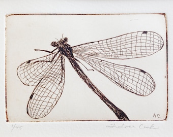 original etching of a dragonfly