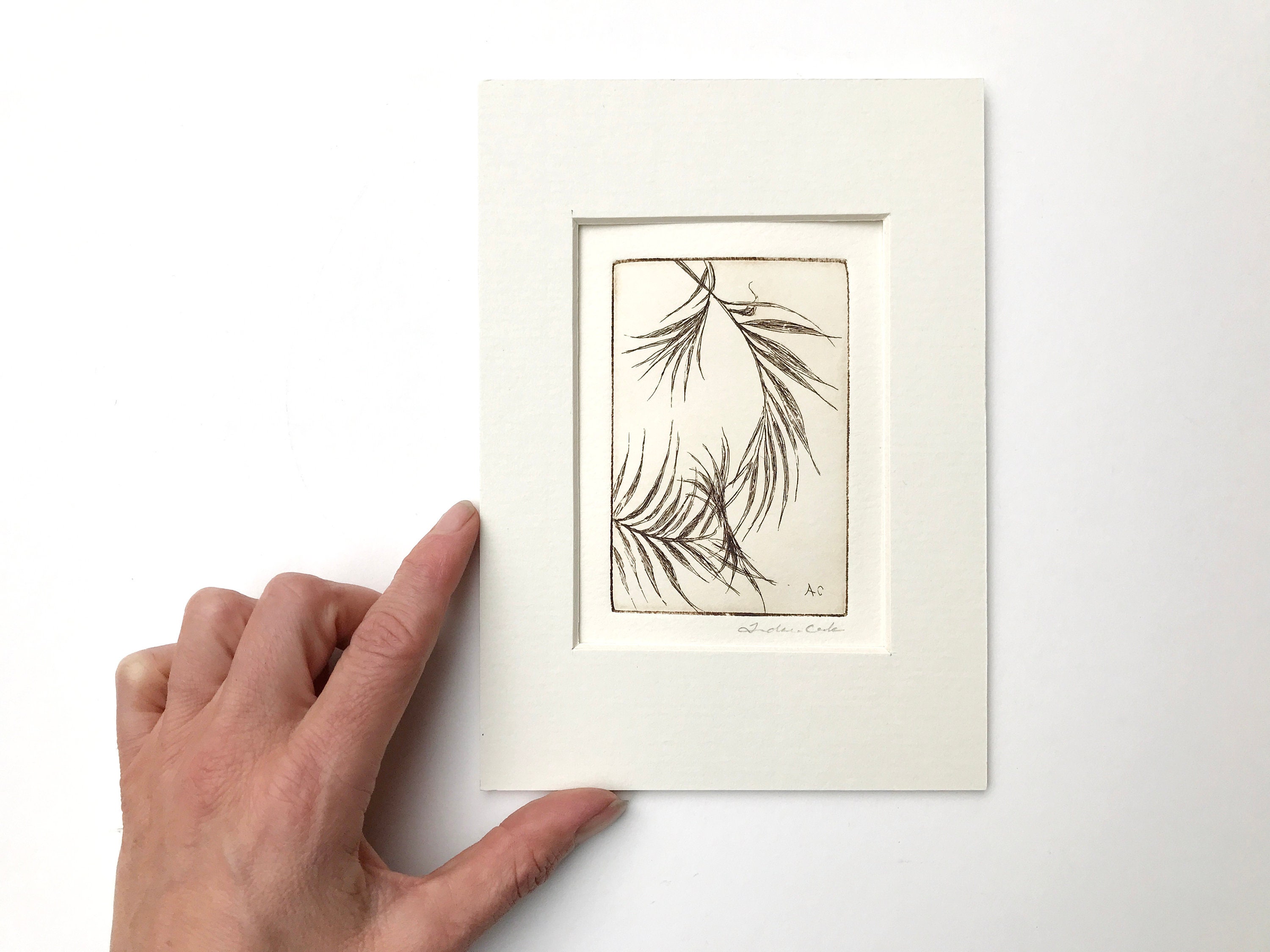 Original Etching of Palm Leaves - Etsy Israel