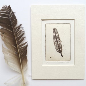 original etching of a spotted feather image 1