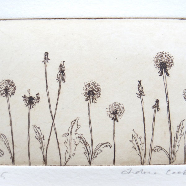 original etching of dandelions