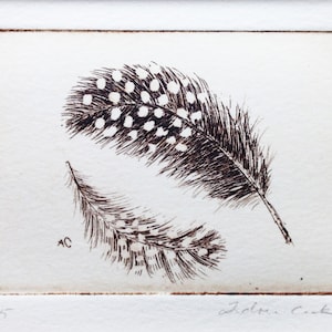 original etching of two spotted feathers