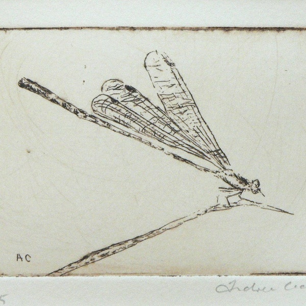 original etching of a dragonfly