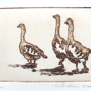 three geese - original etching and aquatint