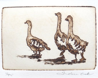 three geese - original etching and aquatint