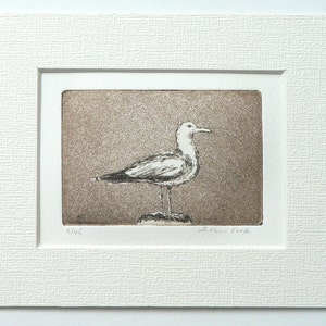 original etching and aquatint of a seagull image 2