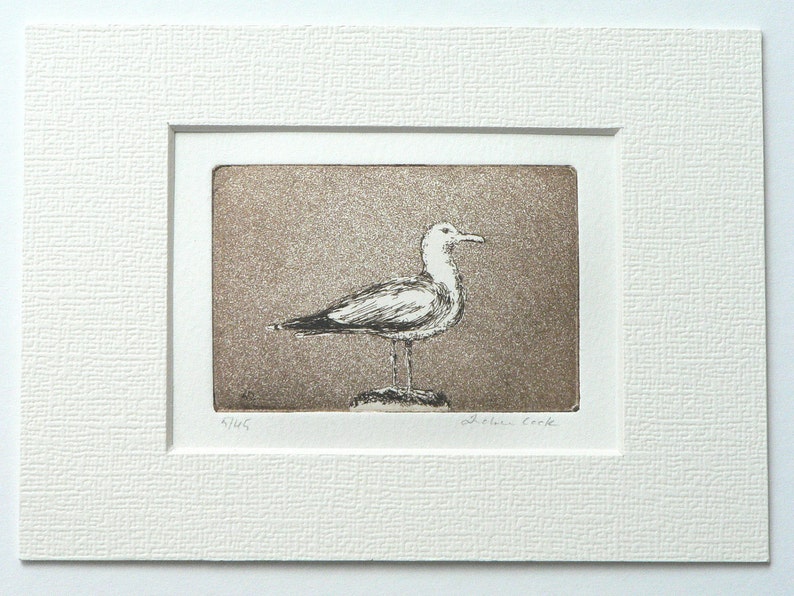 original etching and aquatint of a seagull image 2