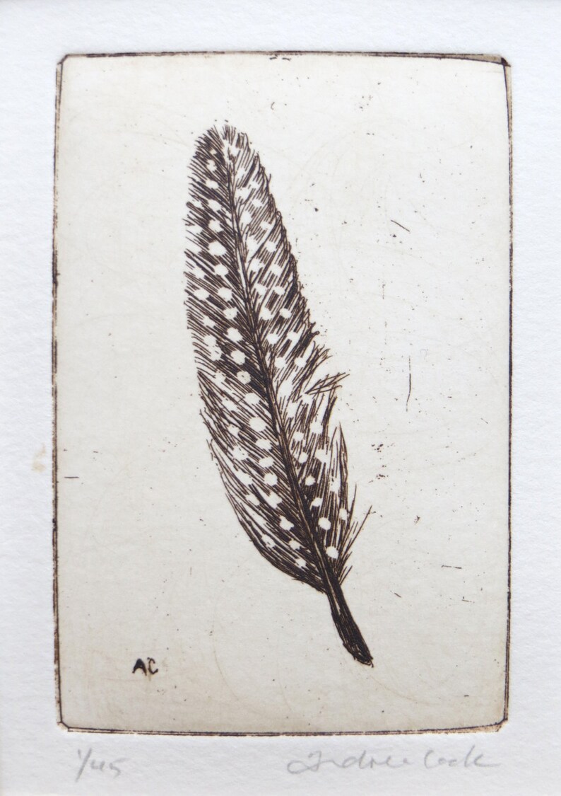 original etching of a spotted feather image 2