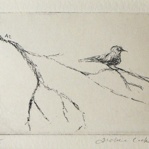 original etching of a bird on a branch