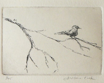 original etching of a bird on a branch