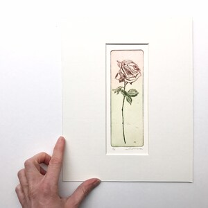 Puede incluir: Una impresión enmarcada de una sola rosa en tonos de rosa y verde. La impresión está firmada "M.C." y "Catherine Carter".