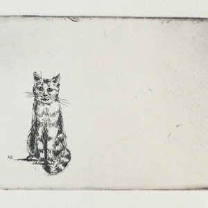 May include: A black and white line drawing of a cat sitting and looking to the right. The cat has a striped tail and a white patch on its chest.