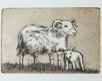 original etching of a ewe and her lamb