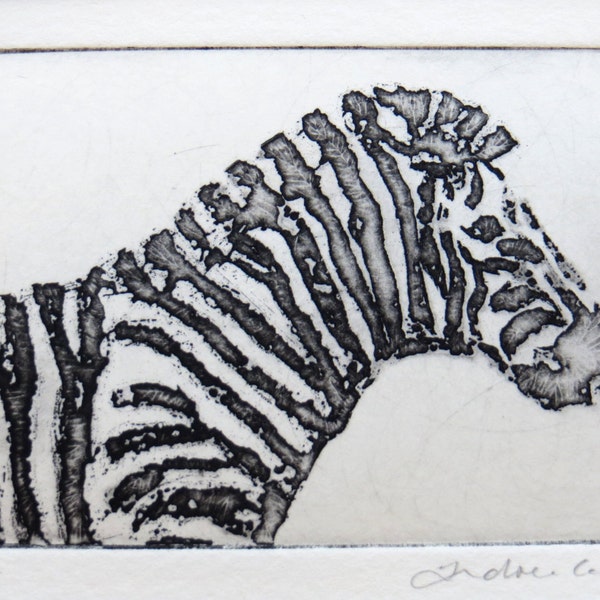 zebra - original etching and aquatint.