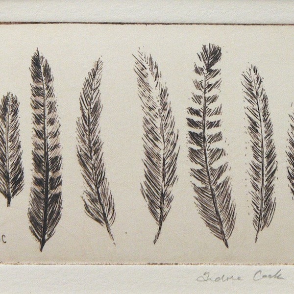 original etching of a group of feathers