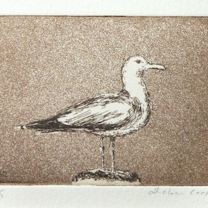 original etching and aquatint of a seagull image 1