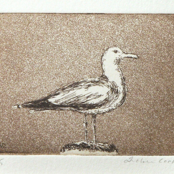 original etching and aquatint of a seagull