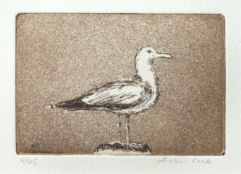 original etching and aquatint of a seagull image 1