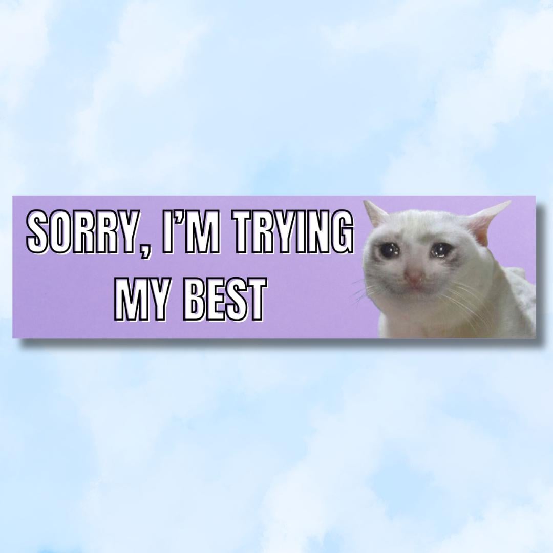 Sorry, I'm Trying My Best, Cat Meme L Funny Bumper Sticker, Gifts ...