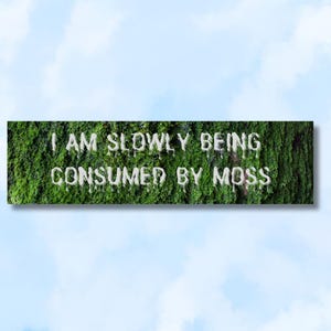 I Am Slowly Being Consumed by Moss Sticker l Funny Unhinged Vinyl Decal, Waterproof Bumper Sticker, Car Lover Gift, Water-Resistant