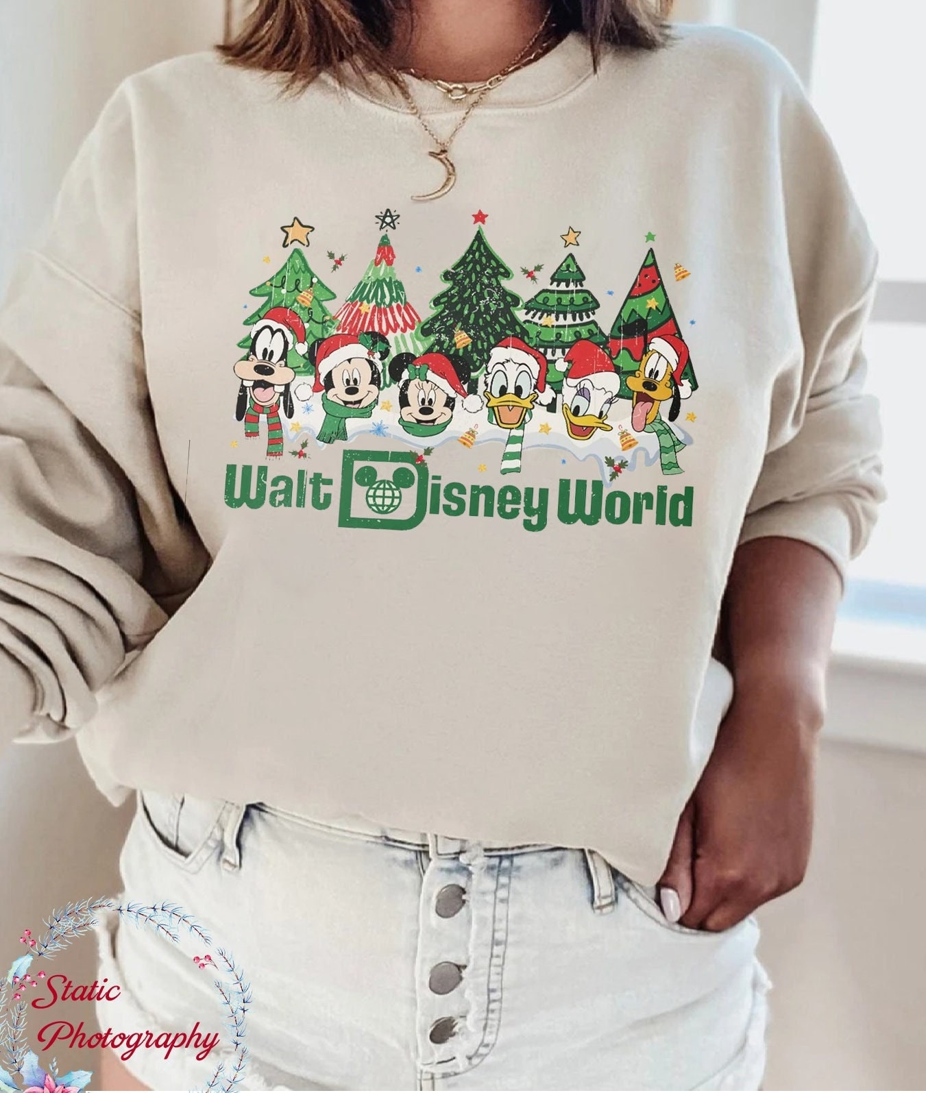 Discover Walt Disney World Sweatshirt, Disney Christmas Sweatshirt