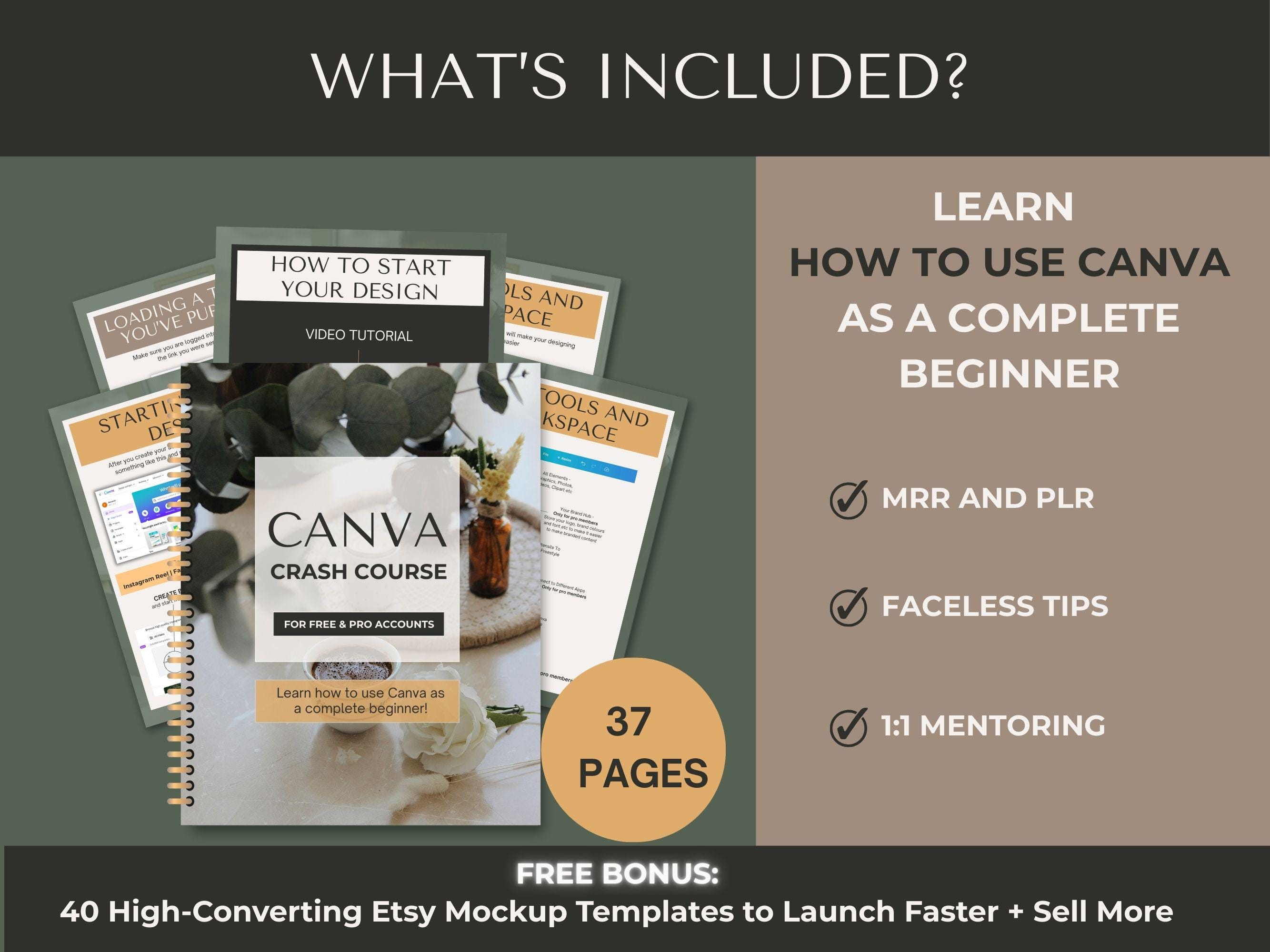 Canva Crash Course for Beginners with PLR & MRR, Canva Templates, Business Planner, Video Tutorials, Editable and Resellable - Thumbnail 3