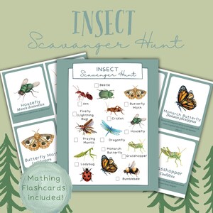 May include: A collection of insect flashcards and a matching scavenger hunt checklist. The cards display watercolour illustrations of insects such as a housefly, butterfly, and grasshopper. The text "Insect Scavenger Hunt" is at the top.