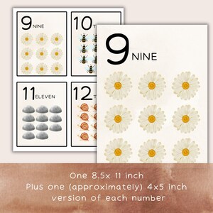 Puede incluir: Tarjetas educativas de n&uacute;meros con ilustraciones de margaritas, abejas, rocas y caracoles. Las tarjetas muestran los n&uacute;meros 9, 10, 11 y 12, junto con su forma escrita. El texto "One 8.5x 11 inch Plus one (approximately) 4x5 inch version of each number" tambi&eacute;n es visible.