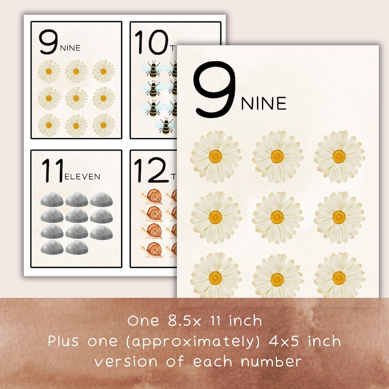 Puede incluir: Tarjetas educativas de n&uacute;meros con ilustraciones de margaritas, abejas, rocas y caracoles. Las tarjetas muestran los n&uacute;meros 9, 10, 11 y 12, junto con su forma escrita. El texto "One 8.5x 11 inch Plus one (approximately) 4x5 inch version of each number" tambi&eacute;n es visible.