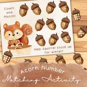 May include: A watercolor-style educational activity sheet featuring a squirrel and acorns. The sheet includes numbered acorns from 1 to 10, with the text "Count and Match!" and "Acorn Number Matching Activity". The squirrel is holding an acorn and a basket.