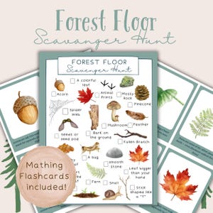 May include: A nature-themed scavenger hunt game with a checklist of items like acorns, leaves, and animal prints. The text "Forest Floor Scavenger Hunt" is at the top. Matching flashcards are included.