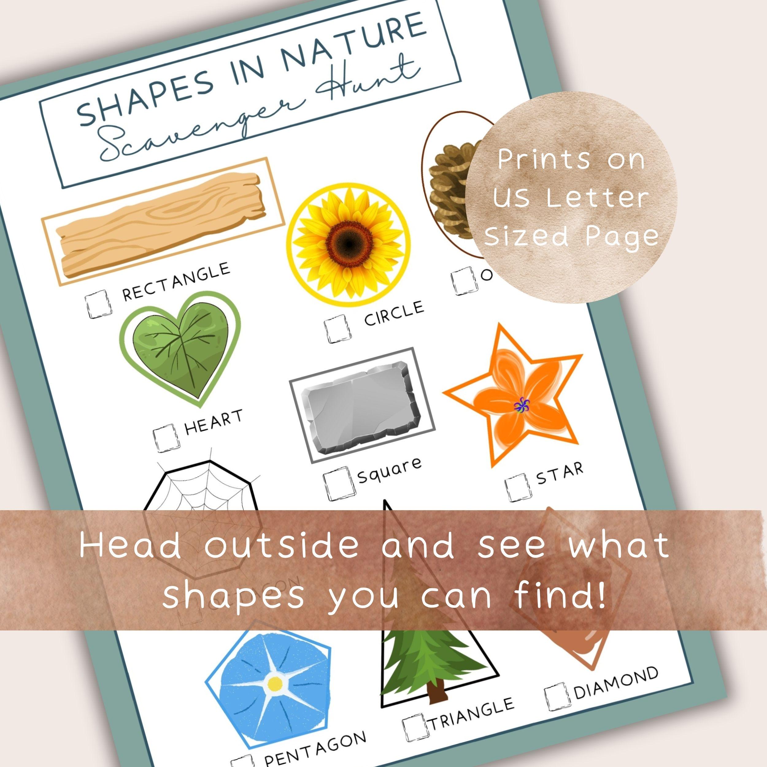 Shape Building Cards Nature Shape Building Cards + Shapes in Nature Scavenger Hunt ...