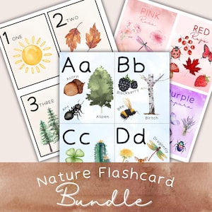 Puede incluir: Un conjunto de tarjetas didácticas de la naturaleza con ilustraciones en acuarela. Las tarjetas muestran números, letras e imágenes temáticas de la naturaleza como un sol, hojas, una bellota, una abeja y una libélula. El texto "Nature Flashcard Bundle" está en la parte inferior.