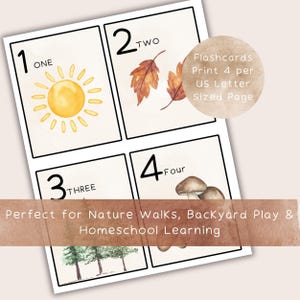 Puede incluir: Tarjetas did&aacute;cticas con los n&uacute;meros del 1 al 4, cada una con una ilustraci&oacute;n: un sol, hojas, setas y &aacute;rboles. Las tarjetas est&aacute;n dise&ntilde;adas para paseos por la naturaleza, juegos en el jard&iacute;n y aprendizaje en casa. El texto incluye "ONE", "TWO", "THREE" y "FOUR".