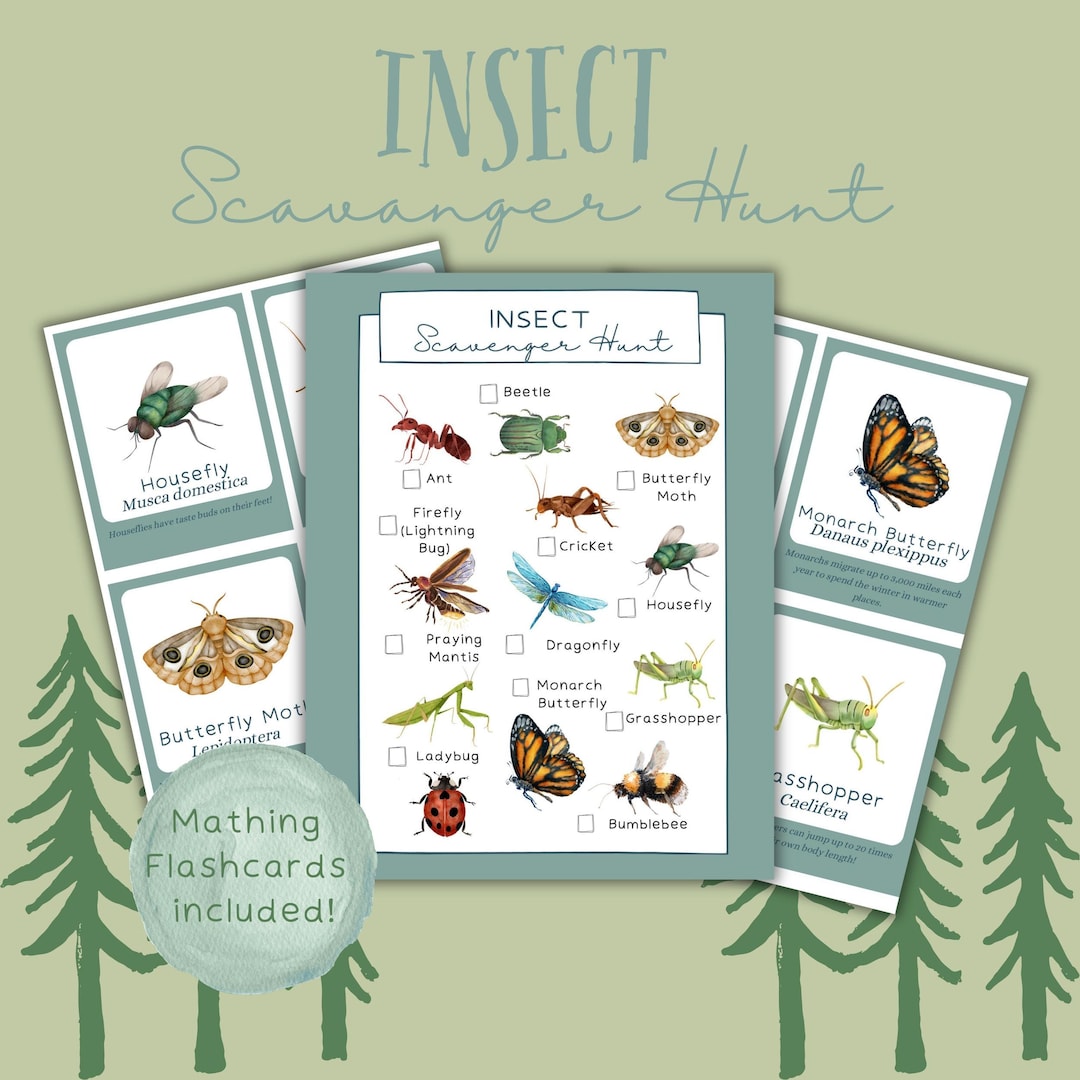 Backyard Bug Hunt Printable Cards, Insect Scavenger Hunt for Kids ...