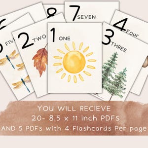 Puede incluir: Un conjunto de tarjetas did&aacute;cticas con ilustraciones en acuarela de un sol, una hoja, un &aacute;rbol y lib&eacute;lulas. Cada tarjeta muestra un n&uacute;mero del uno al siete, con el n&uacute;mero escrito en ingl&eacute;s. Tambi&eacute;n se ve el texto "YOU WILL RECIEVE 20- 8.5 x 11 inch PDFS".