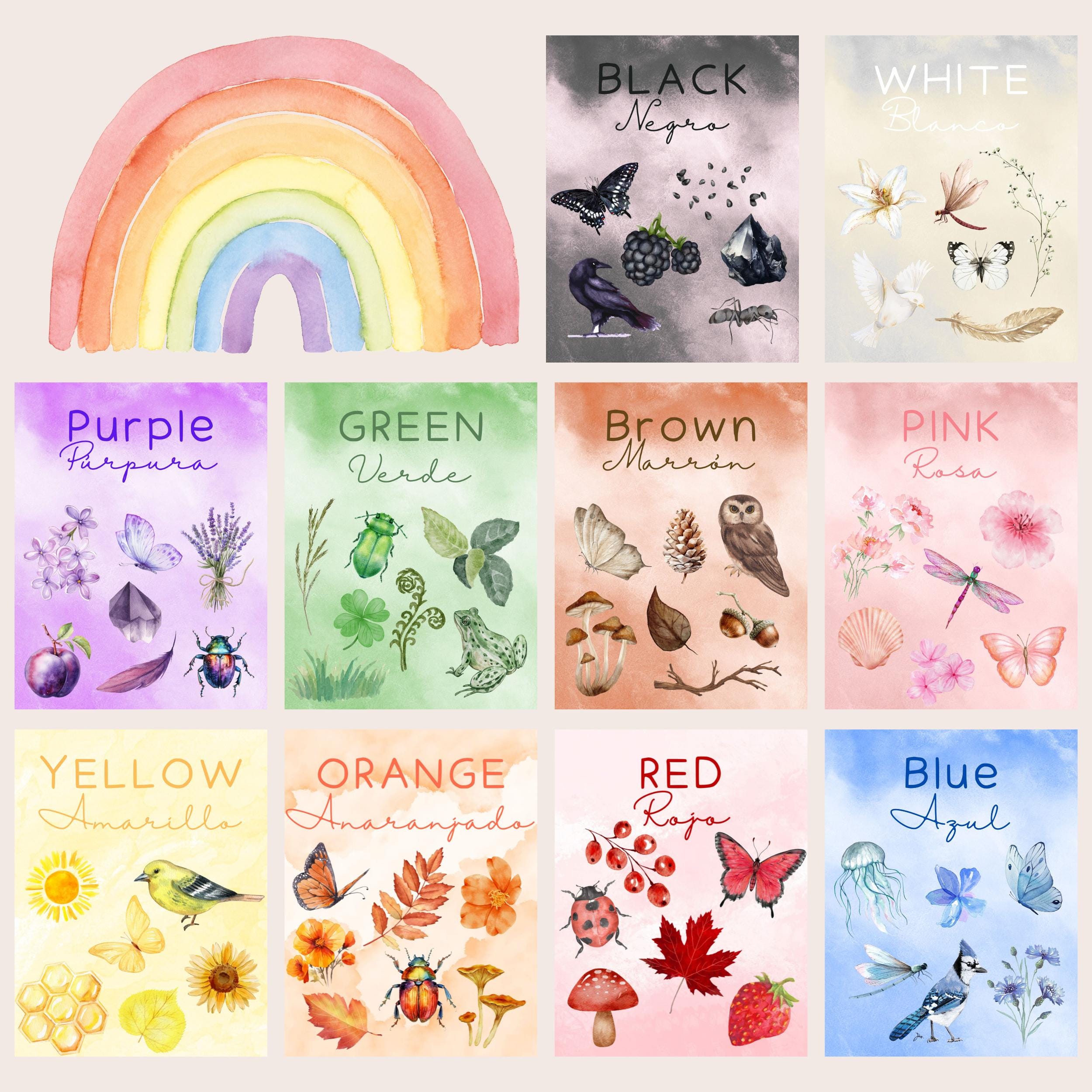 Nature Flashcards Bundle Printable Montessori-inspired Flash Cards ...