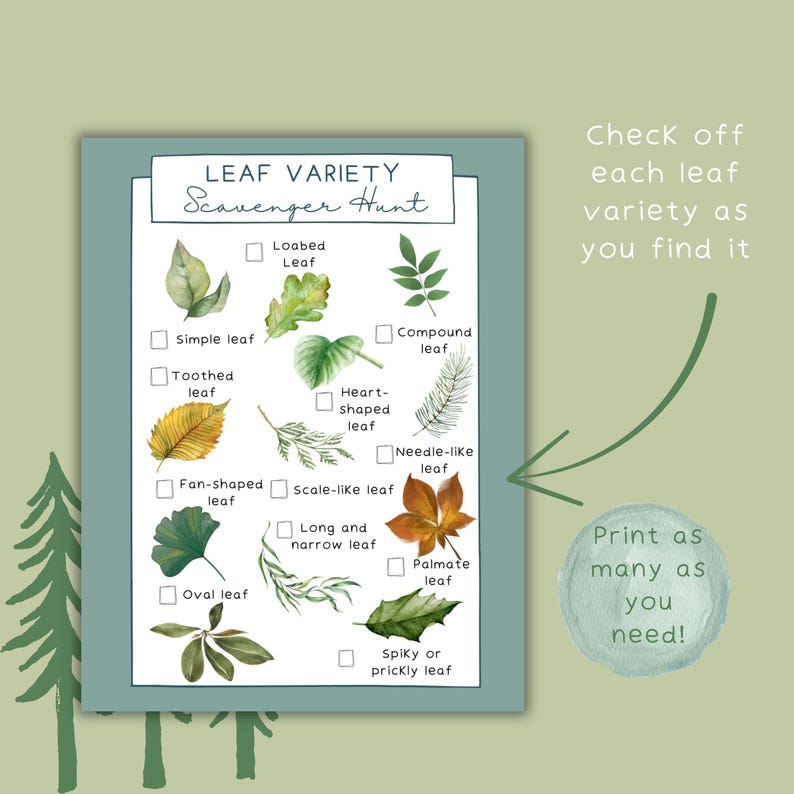 Outdoor Scavenger Hunt Cards Printable, Leaf Types Guide Nature ...
