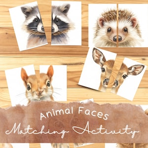 Könnte beinhalten: Tiergesichter-Zuordnungsaktivität mit Aquarellillustrationen eines Waschbären, Igels, Eichhörnchens und Hirsches. Jedes Tier ist in zwei Puzzleteile aufgeteilt. Der Text lautet "Animal Faces Matching Activity".