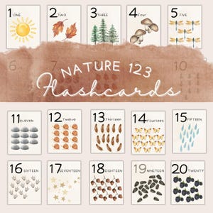 Puede incluir: Un conjunto de tarjetas did&aacute;cticas con tem&aacute;tica de la naturaleza, numeradas del uno al veinte. Cada tarjeta presenta una ilustraci&oacute;n en acuarela de elementos naturales como un sol, hojas, setas y mariposas. El texto "NATURE 123 Flashcards" est&aacute; escrito en el centro.