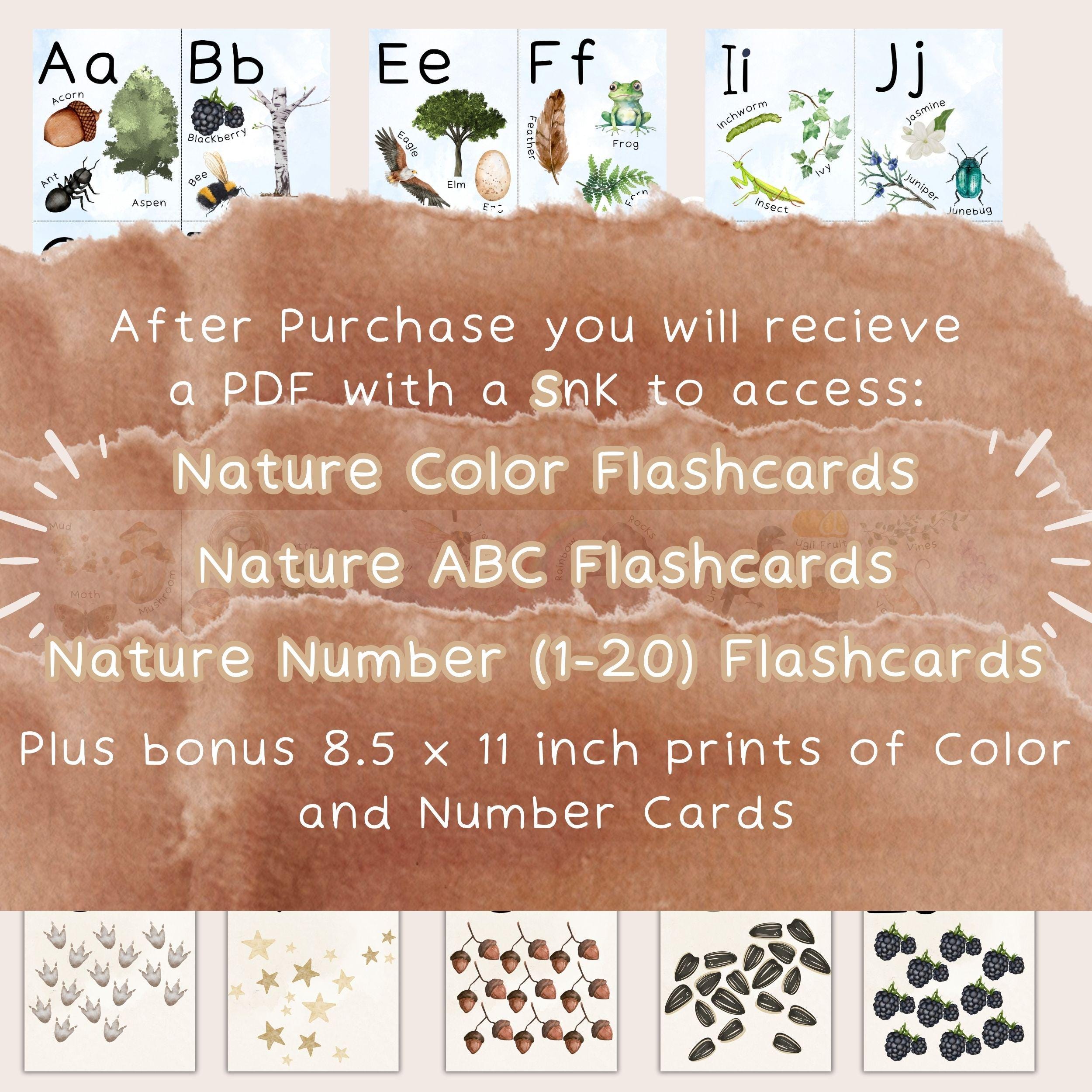 Nature Flashcards Bundle Printable Montessori-inspired Flash Cards ...