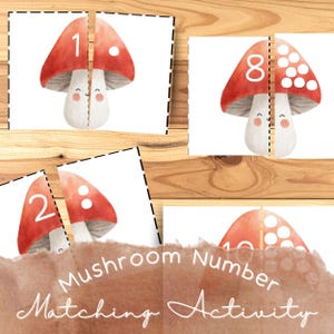 Puede incluir: Un conjunto de tarjetas educativas para una actividad de emparejamiento de números de hongos. Cada tarjeta presenta una ilustración dividida de un hongo con un número en la tapa roja. El texto "Mushroom Number Matching Activity" se muestra.