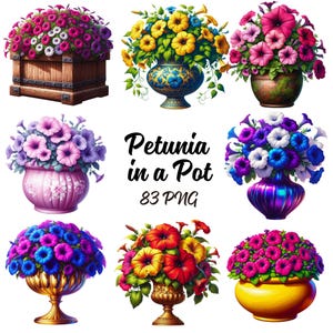 Petunia in a Pot Clipart - 83 PNG Colorful Petunia Bundle, Garden Flowers, Spring Flowers, Petunia in a Vase, Vibrant Flower, Commercial Use