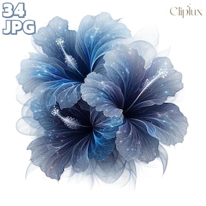 Clipart abstrait d'hibiscus - 34 illustrations de fleurs exquises, journal indésirable, scrapbooking, fichiers JPG de haute qualité, fabrication de cartes, créations en papier
