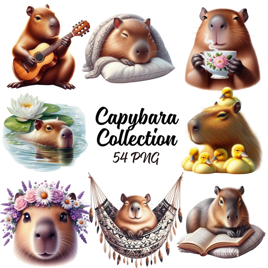 Capybara Collection Clipart - 54 PNG Cute Capybara Bundle, Flower ...