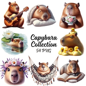 Capybara Collection Clipart - 54 PNG Cute Capybara Bundle, Flower Capybara, Spring Capybara, Groovy Capybara, Animals PNG, Commercial Use