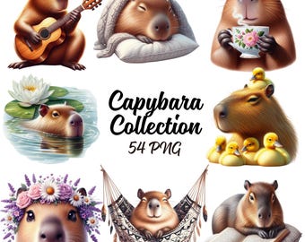 Capybara Collection Clipart - 54 PNG Cute Capybara Bundle, Flower Capybara, Spring Capybara, Groovy Capybara, Animals PNG, Commercial Use